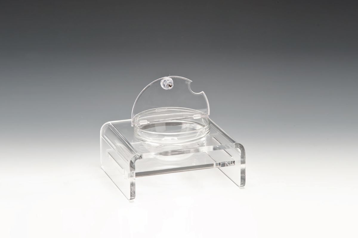 Display Stand With Polycarbonate Lid And Glass Bowl
