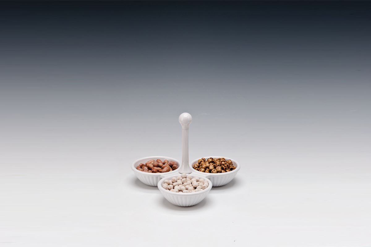 Melamine Apatizer Plate