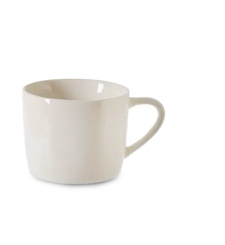Toledo Tea Cup & Saucer