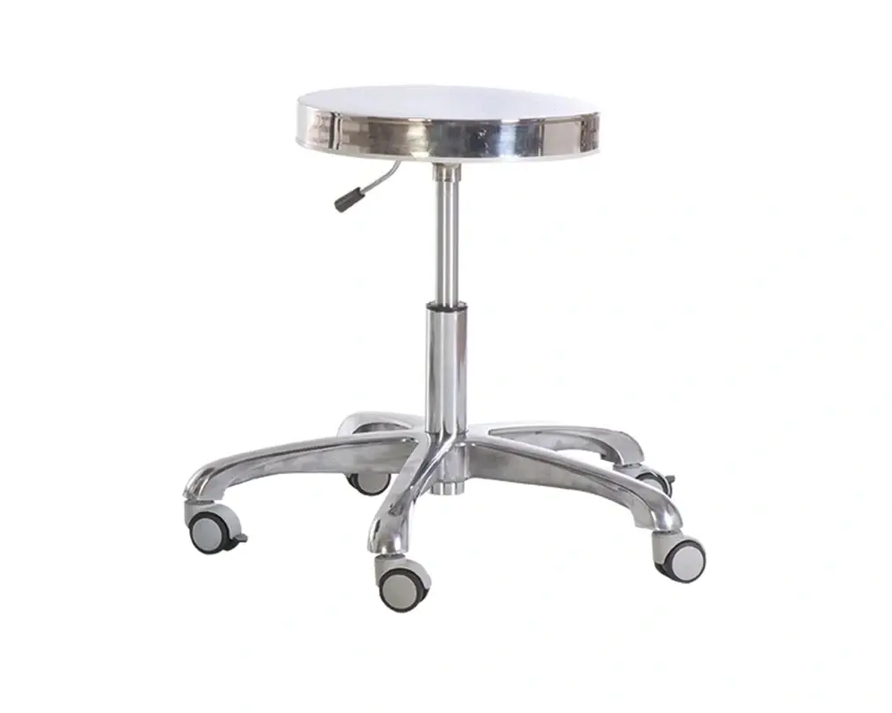 Stainless Stell Anatomy Stool